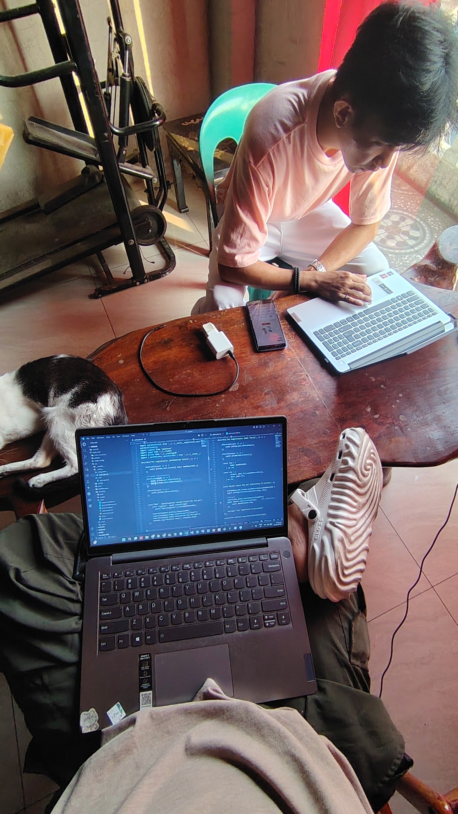 With Software Engineer and Pedro the cat
